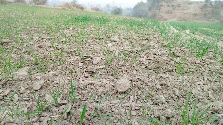 Pakistan's Climate Crisis